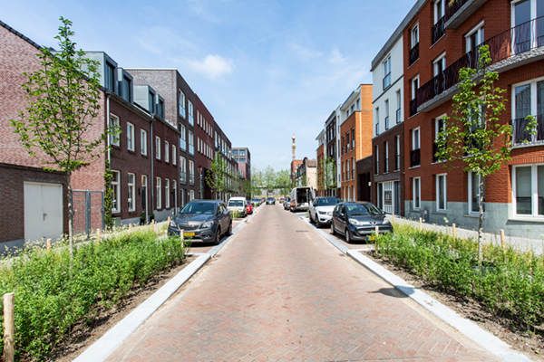 Gemeente Breda pakt hittestress aan met groeiplaatsen voor duurzaam groen